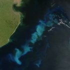 Oceanic phytoplankton bloom in the South Atlantic Ocean